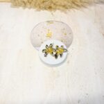 Aretes Anissa