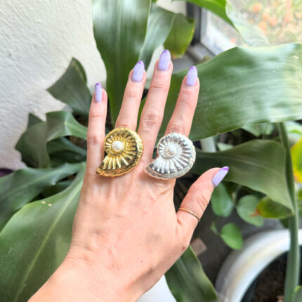ANILLO MIRANDA