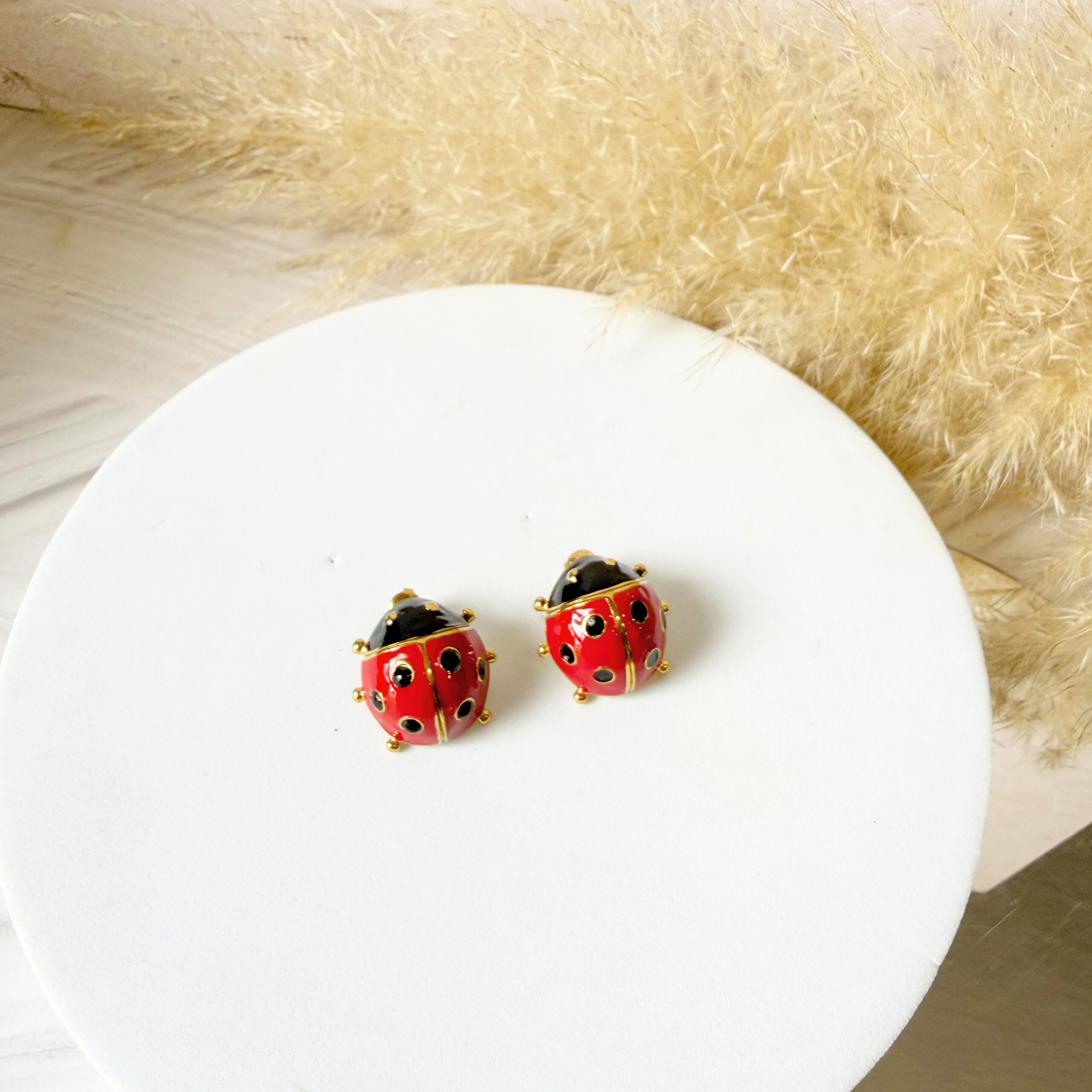 Aretes Nycole